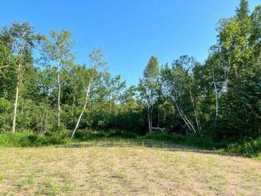 TBD CO HWY 71, Wadena, MN 56482