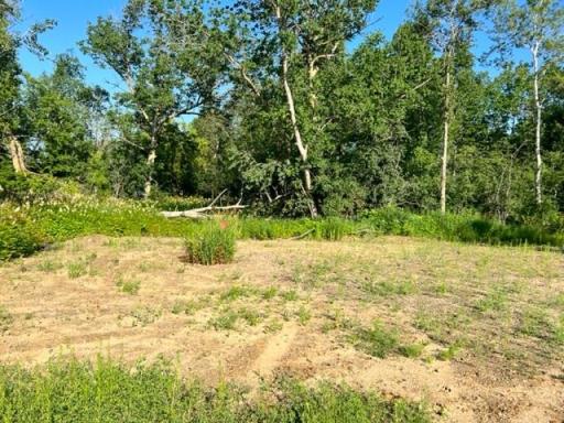 TBD CO HWY 71, Wadena, MN 56482