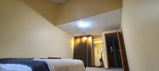MAIN FLOOR OWNERS SUITE BEDROOM FULL WALL CLOSET