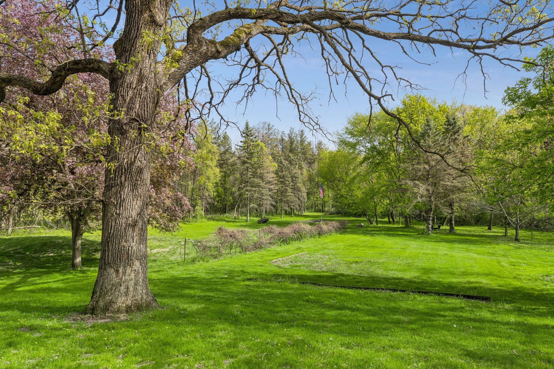 Established grapevines add charm to this space, once used as a thriving garden.