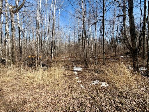 TBD First Avenue N, Kelly Lake, MN 55746