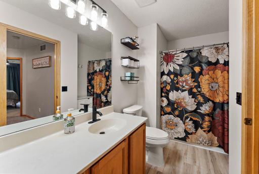 9812 Hamlet Lane S, Cottage Grove, MN 55016