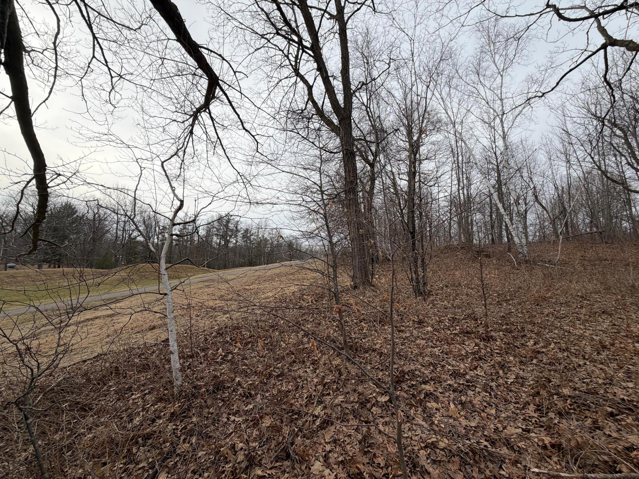 Woods off of hole 5.jpeg