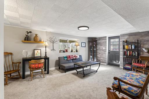 Lower level family room