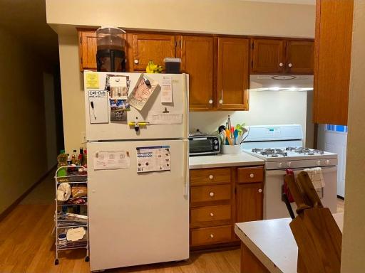1094 26th Avenue SE, Minneapolis, MN 55414
