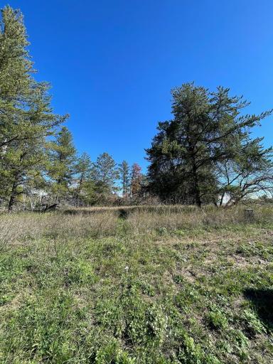 TBD Lot 5 Beartooth Avenue SW, Bemidji, MN 56601