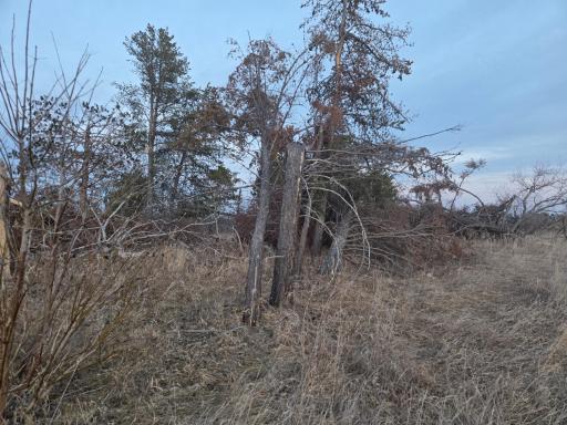 TBD Lot 5 Beartooth Avenue SW, Bemidji, MN 56601