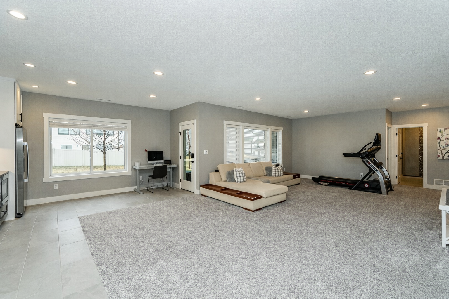 Lower level family room, walk out