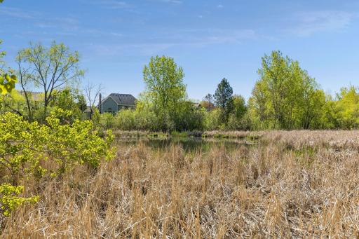 17815 32nd Place N, Minneapolis, MN 55447