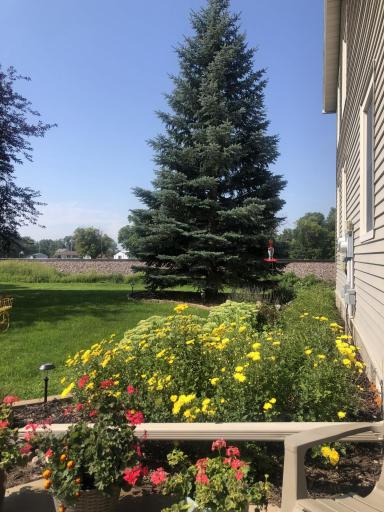 101 Harris Street, Kent, MN 56553