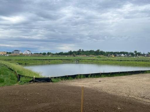 (Photo is of the actual backyard in progress.)
