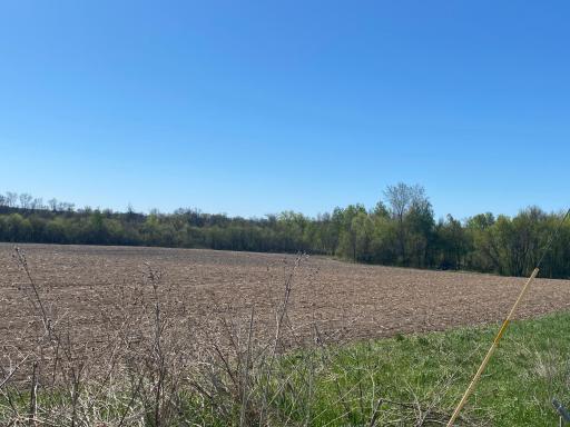 18890 55th Street NE, Foley, MN 56329