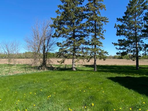 18890 55th Street NE, Foley, MN 56329
