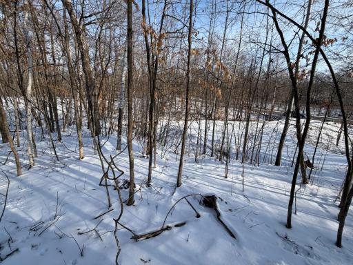 TBD Short Putt, Garrison, MN 56450