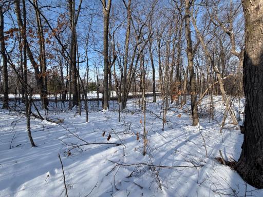 TBD Short Putt, Garrison, MN 56450