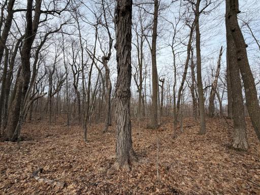 TBD Short Putt, Garrison, MN 56450