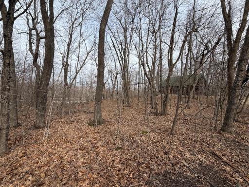 TBD Short Putt, Garrison, MN 56450