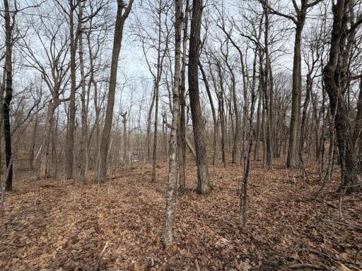 TBD Short Putt, Garrison, MN 56450