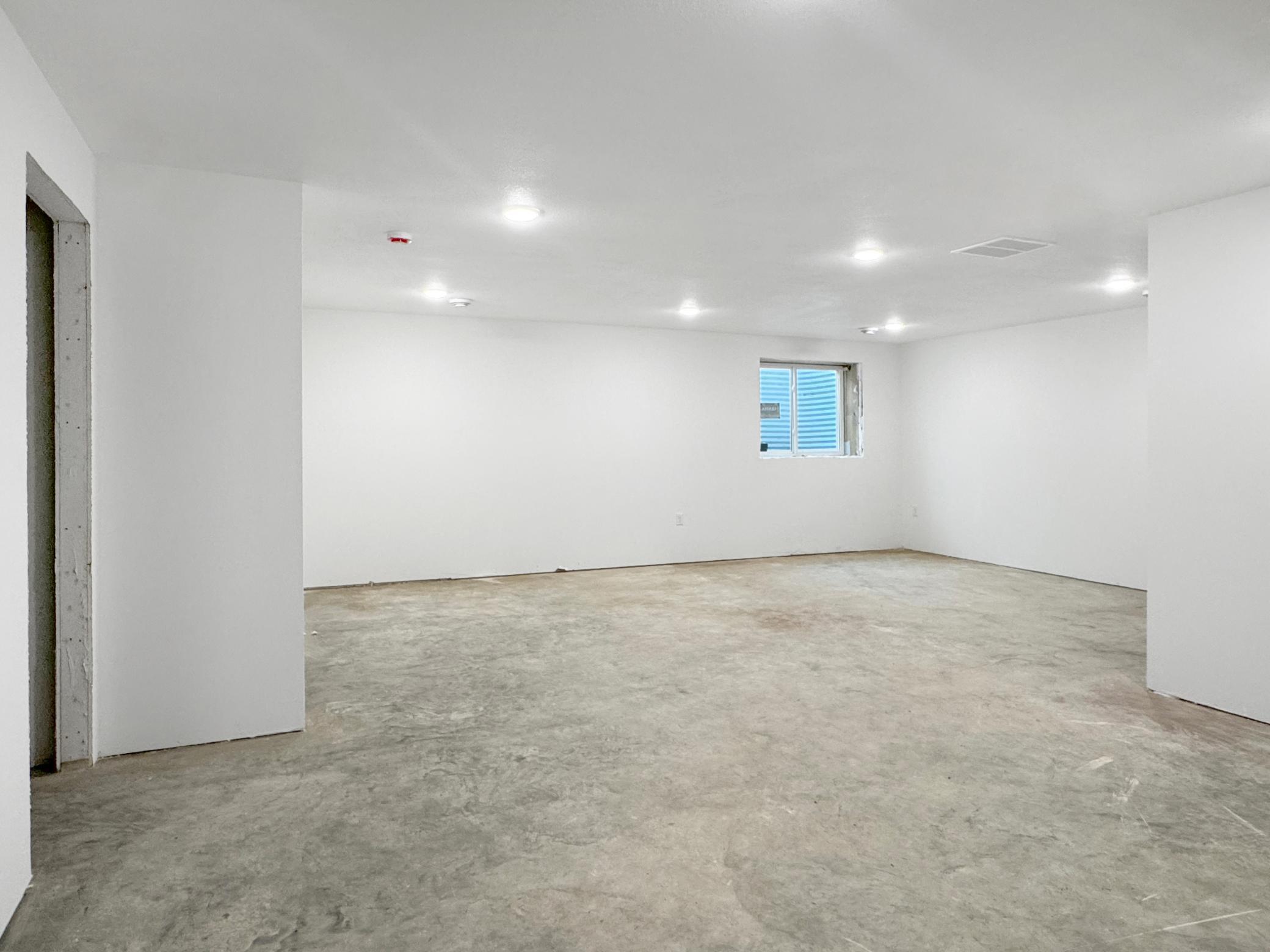 Basement Living Area
