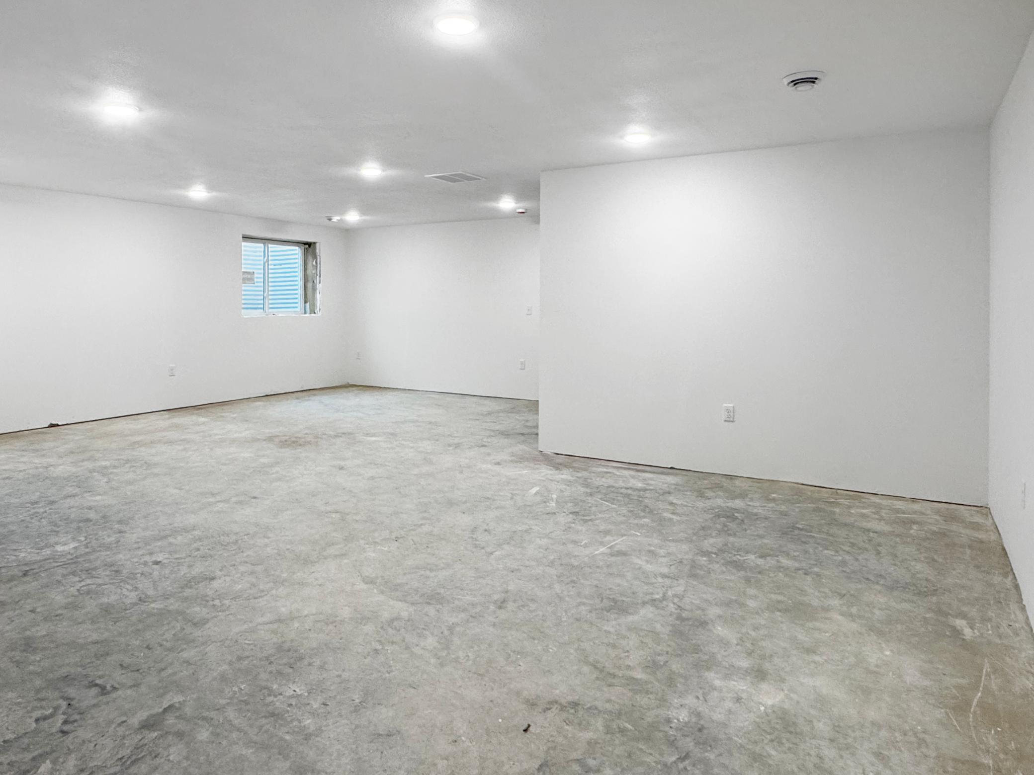Basement Living Area