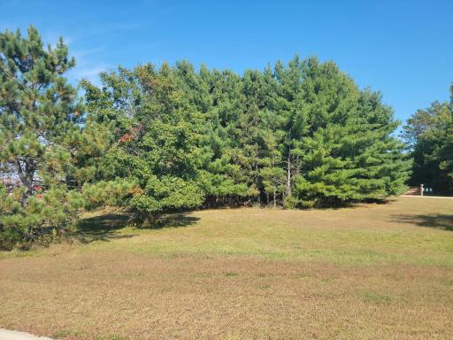 Lot 3 Charlotte St / Range Rd, Boyceville, WI 54725