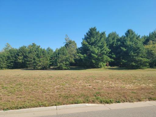 Lot 3 Charlotte St / Range Rd, Boyceville, WI 54725