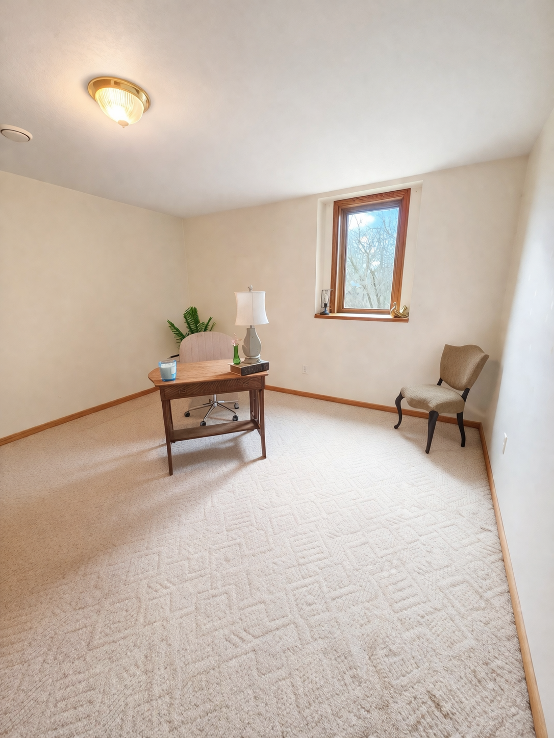 Lower Level Flex Room