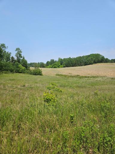 TBD 20 Acres Ranchette Drive, Breezy Point, MN 56472