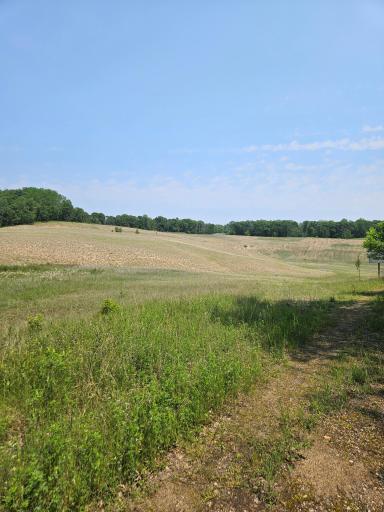 TBD 20 Acres Ranchette Drive, Breezy Point, MN 56472