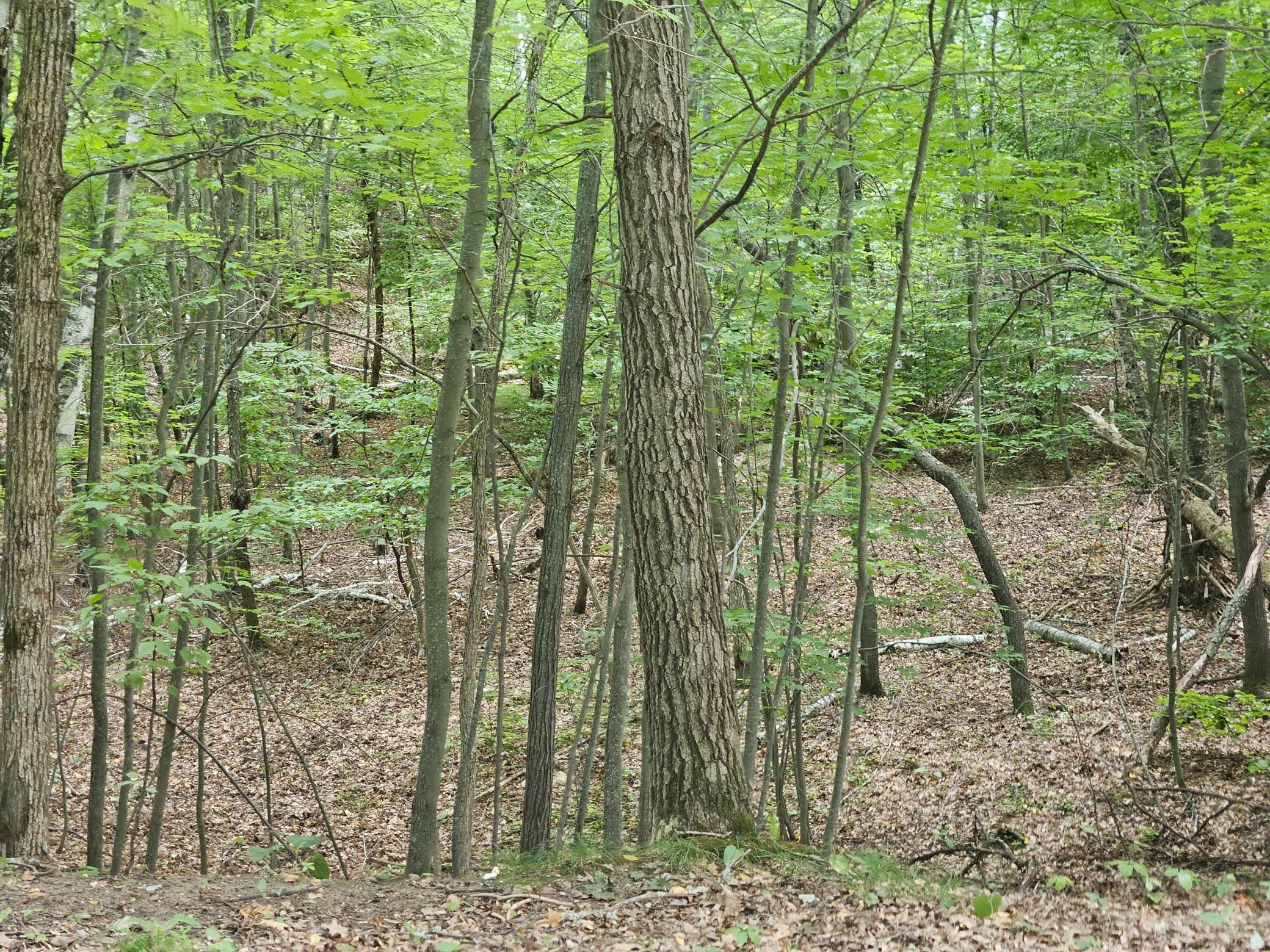 20250828_135511.jpg