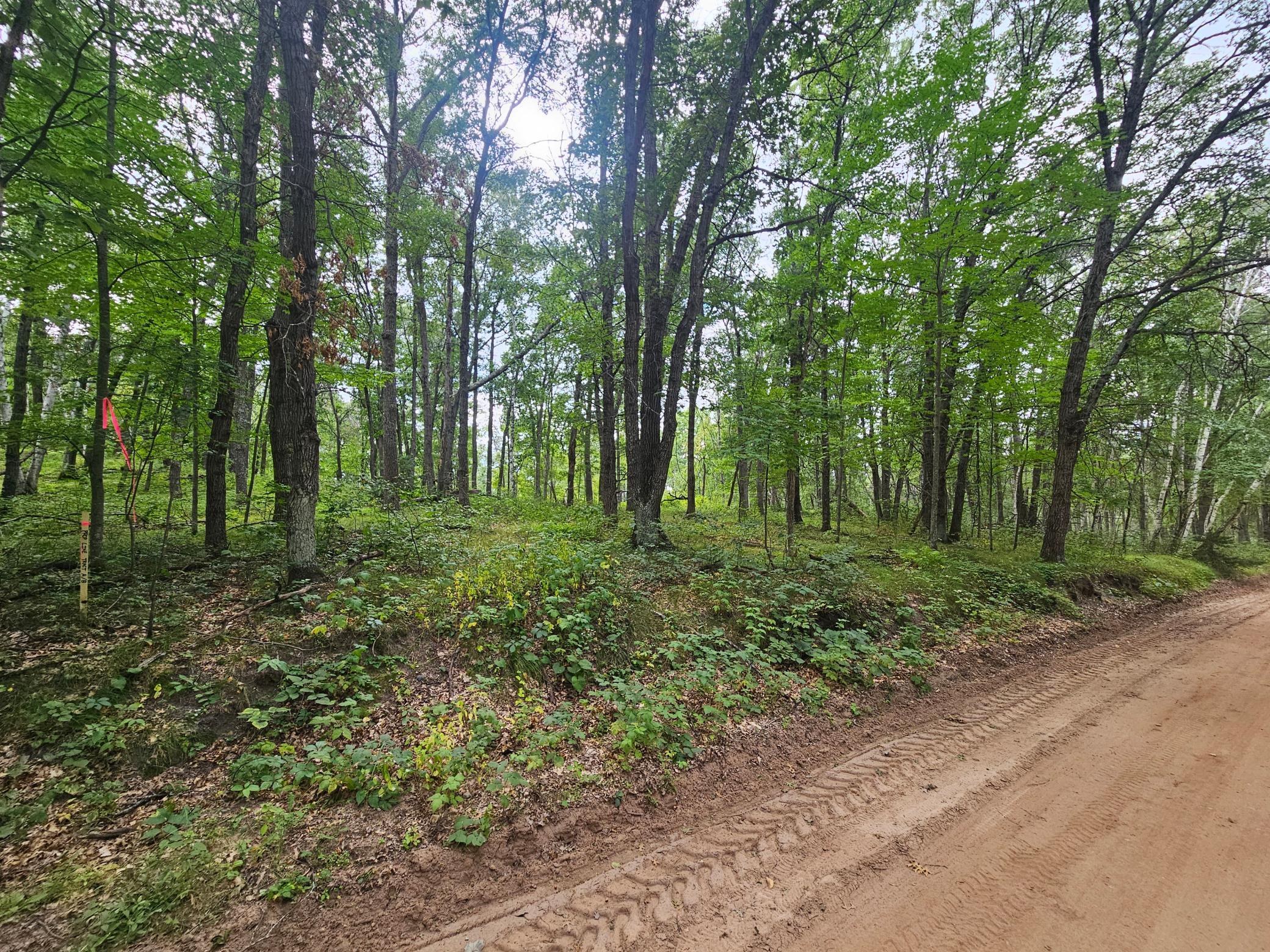 20250828_134535.jpg