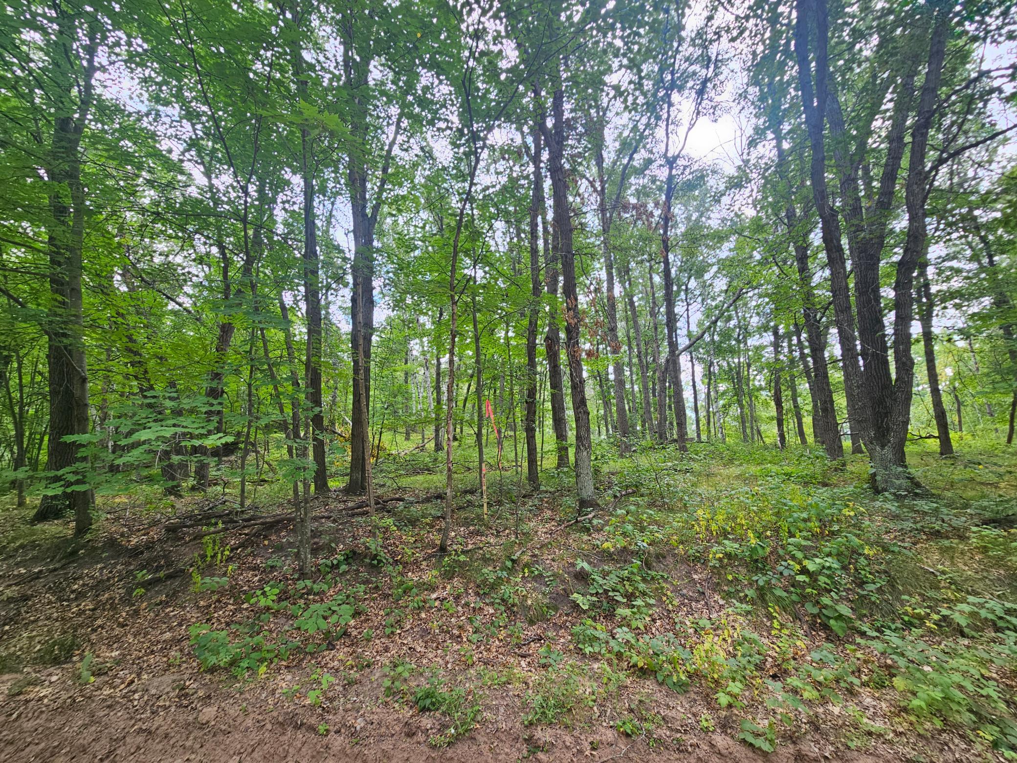 20250828_134532.jpg