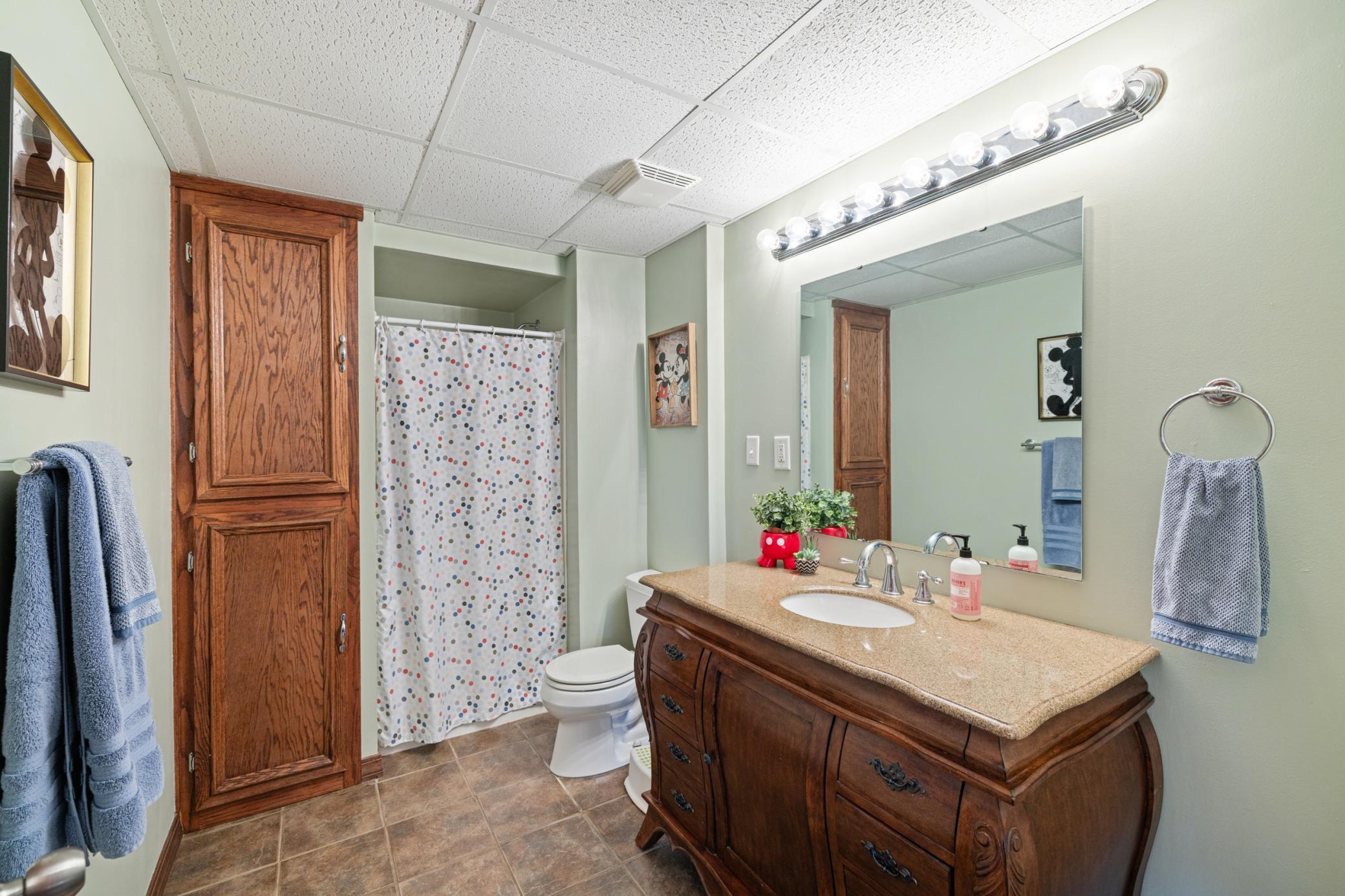 Lower level Bathroom next to family room