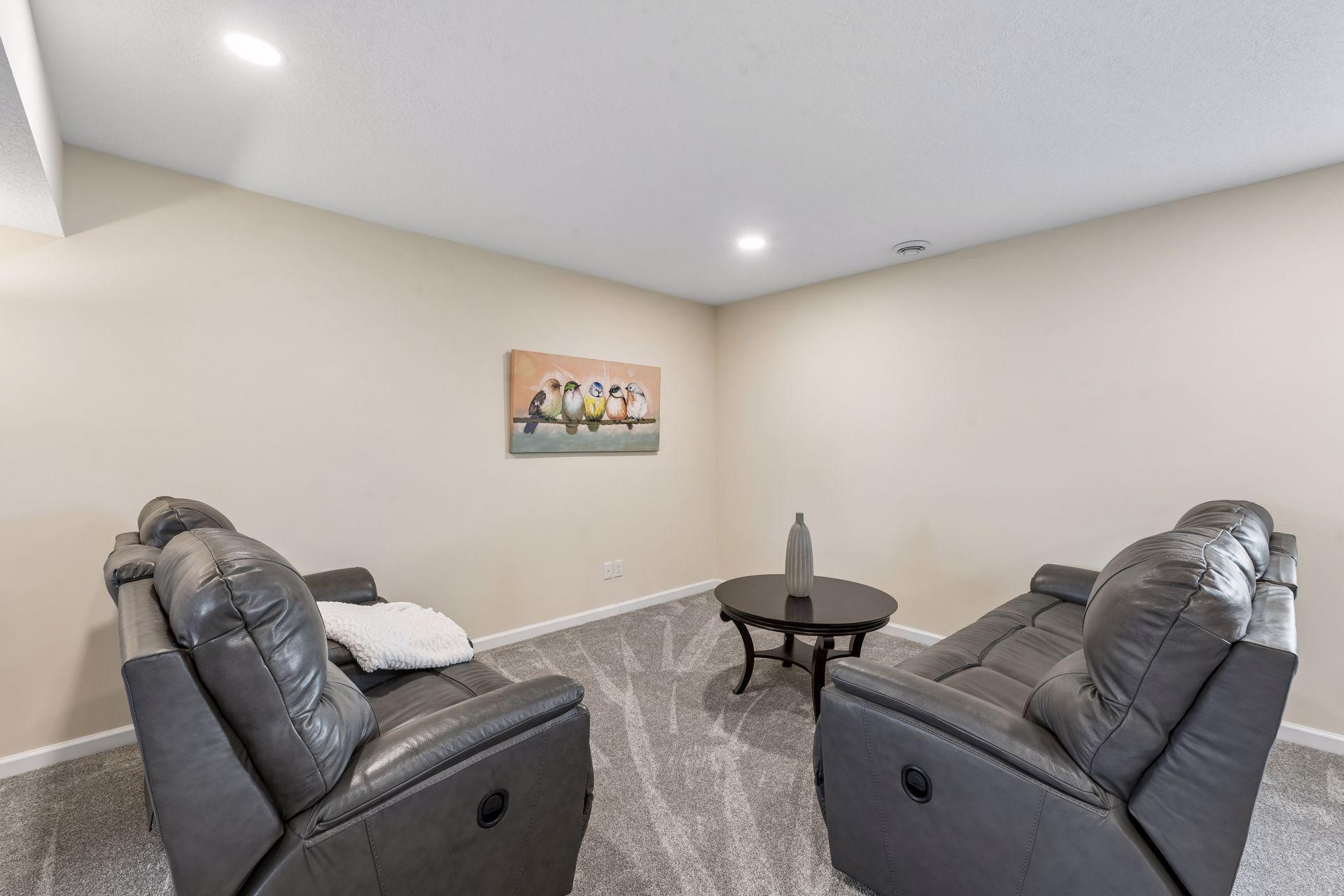 Lower Level Family Room