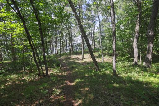 7972 Ruttger Road, Pequot Lakes, MN 56472