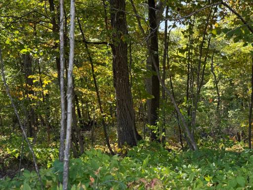 44015 100th Avenue, Holdingford, MN 56340