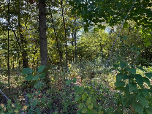 44015 100th Avenue, Holdingford, MN 56340