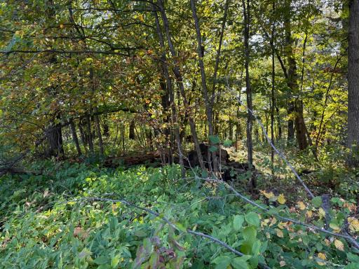44015 100th Avenue, Holdingford, MN 56340