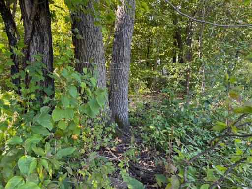 44015 100th Avenue, Holdingford, MN 56340