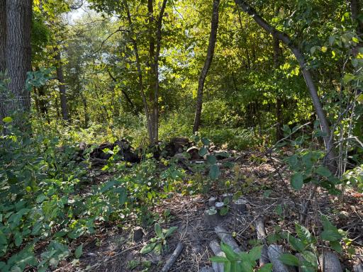 44015 100th Avenue, Holdingford, MN 56340