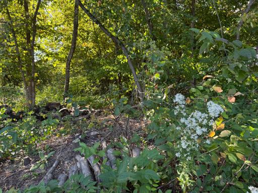 Beautifully wooded lot with some tree removal already completed - wood to stay for the new land owner.