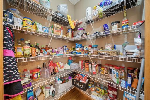 8410 151st Street, Savage, MN 55378