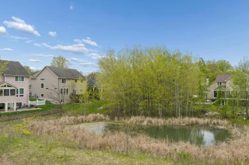8410 151st Street, Savage, MN 55378