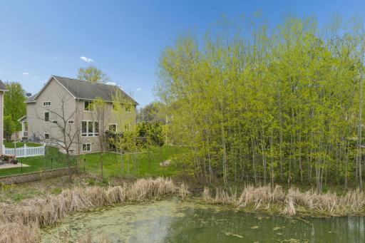 8410 151st Street, Savage, MN 55378