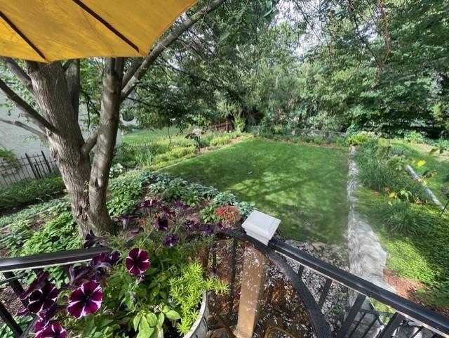 Imagine how incredible the yard looks when everything greens up