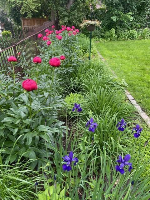 Some of the beautiful flowers you can look forward to