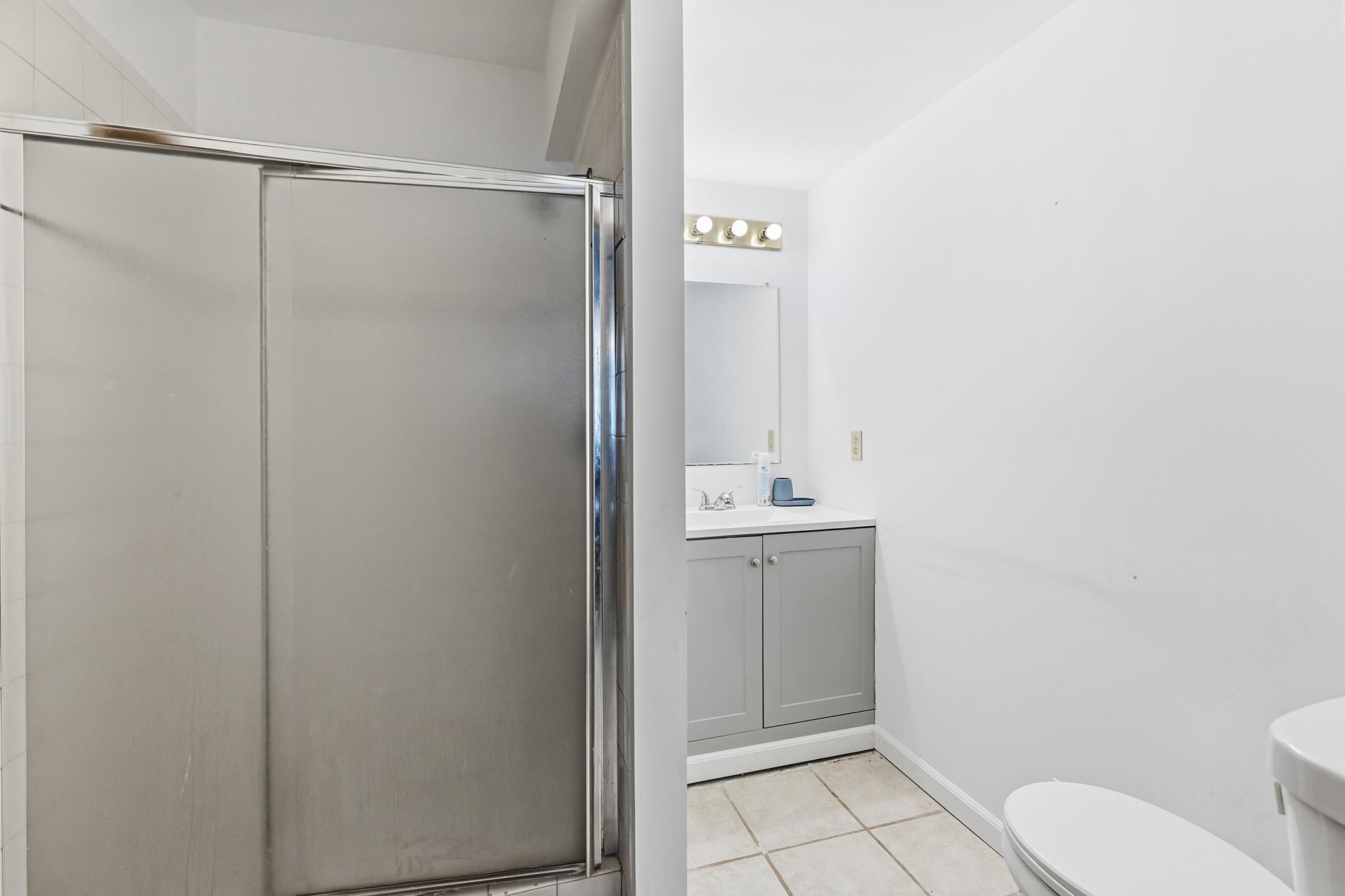 Lower level bathroom