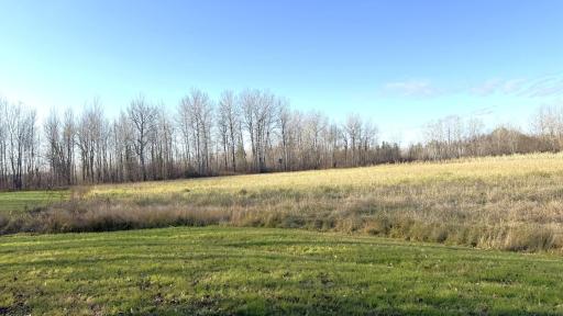 11680 County Rd 59 property ground 2.JPG