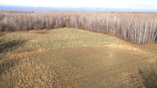 11680 County Rd 59 property 2.JPG