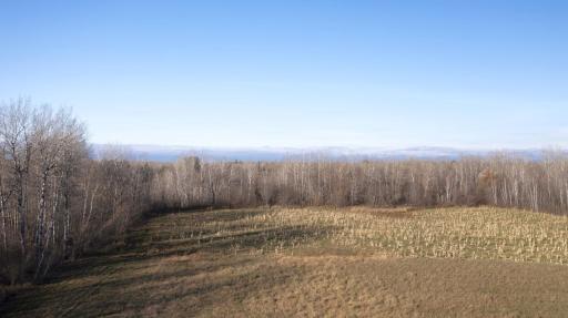 11680 County Rd 59 property 1.JPG